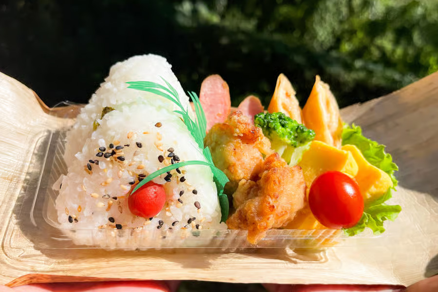 Japanese bento lunch mountain Kirishima trekking tour