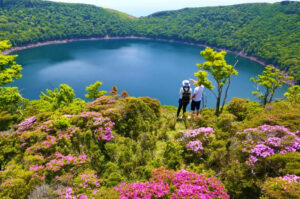【年に一度の絶景】ピンクに染まる奇跡の霧島。ミヤマキリシマ登山＆貸切温泉ツアー予約開始！