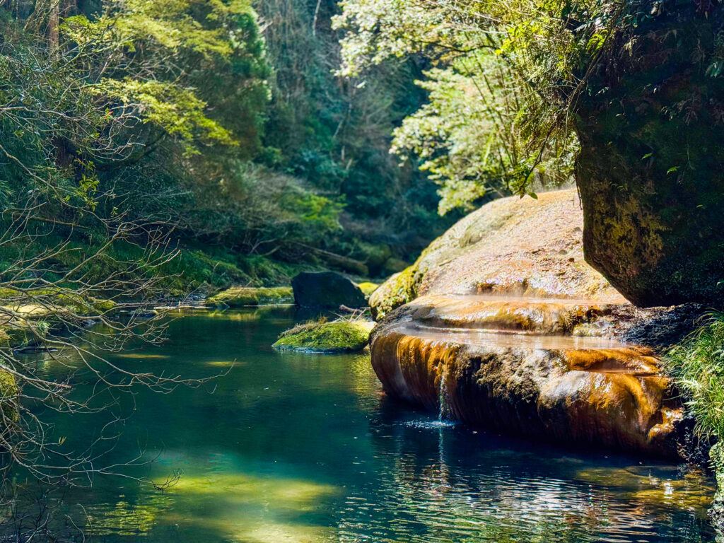 Kagoshima Private Shore Excursion: Kirishima Wild Hot Spring & Local Robatayaki Lunchの画像