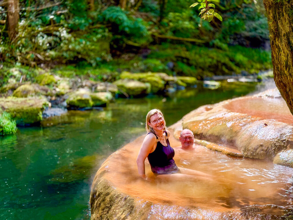 Kagoshima Private Shore Excursion: Kirishima Wild Hot Spring & Local Robatayaki Lunchの画像